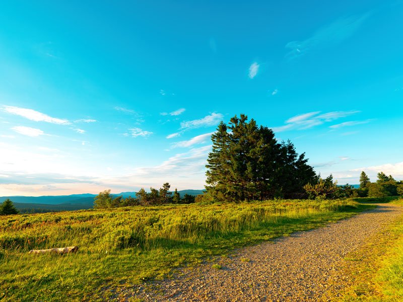 Natuur in Winterberg